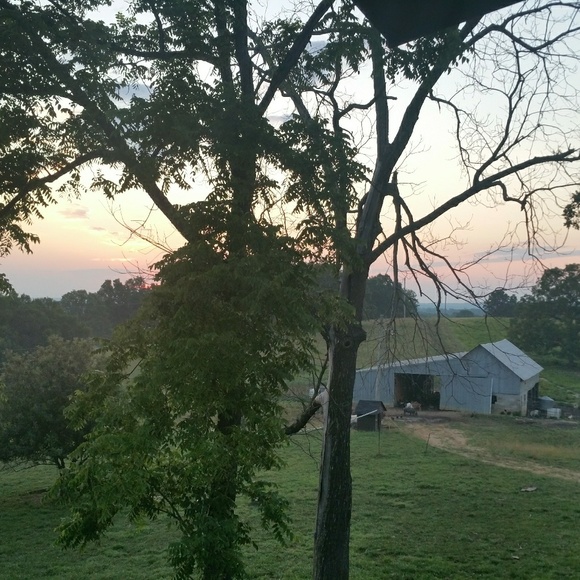 Welcome to my closet! - Picture 8 of 8